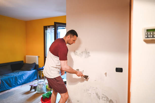 Mold Testing and Removal in Villa Park, IL